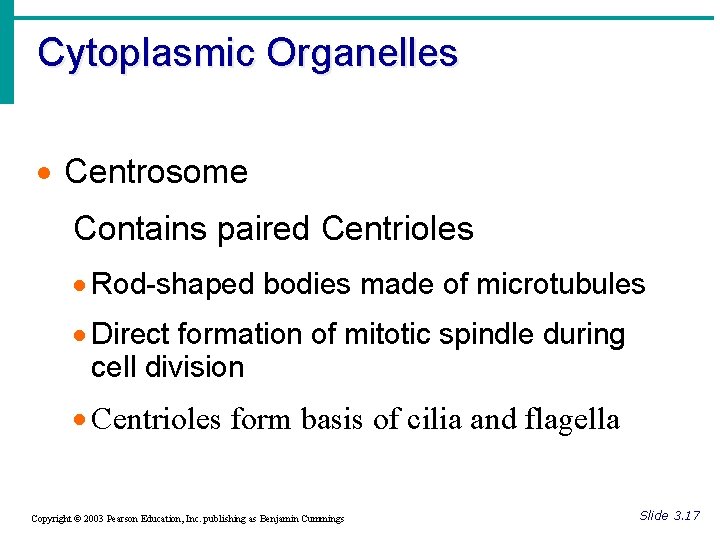Cytoplasmic Organelles · Centrosome Contains paired Centrioles · Rod-shaped bodies made of microtubules ·