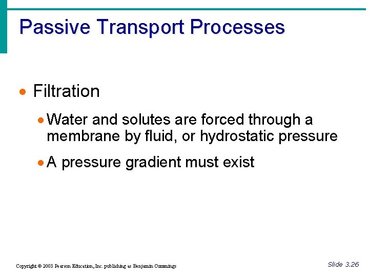 Passive Transport Processes · Filtration · Water and solutes are forced through a membrane