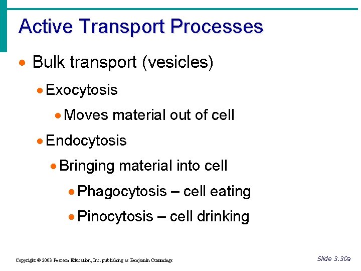 Active Transport Processes · Bulk transport (vesicles) · Exocytosis · Moves material out of