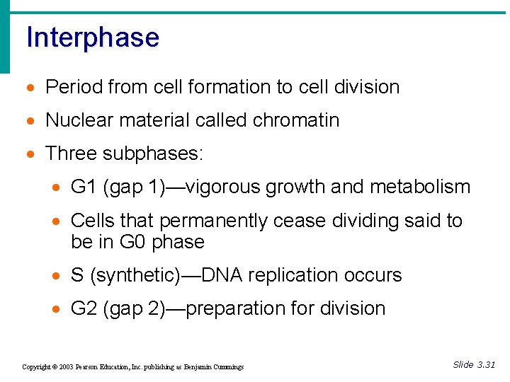 Interphase · Period from cell formation to cell division · Nuclear material called chromatin