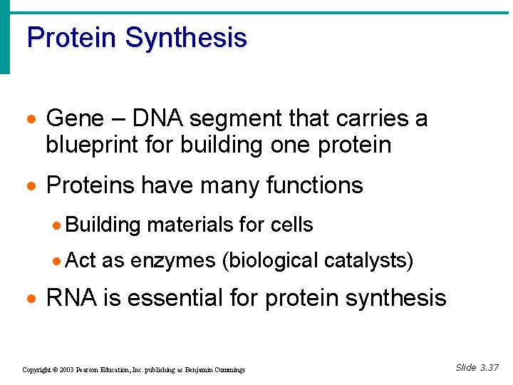 Protein Synthesis · Gene – DNA segment that carries a blueprint for building one