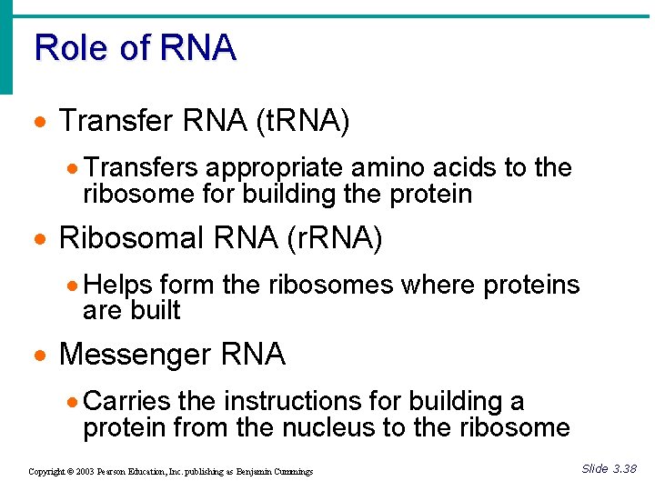 Role of RNA · Transfer RNA (t. RNA) · Transfers appropriate amino acids to