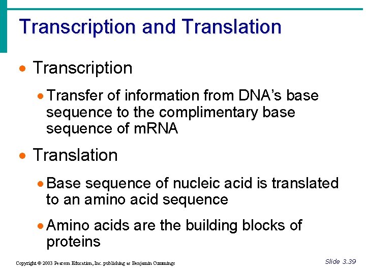 Transcription and Translation · Transcription · Transfer of information from DNA’s base sequence to