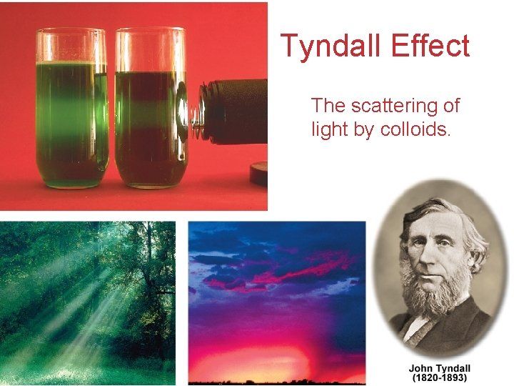 Tyndall Effect The scattering of light by colloids. Solutions 