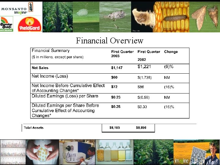 Financial Overview 