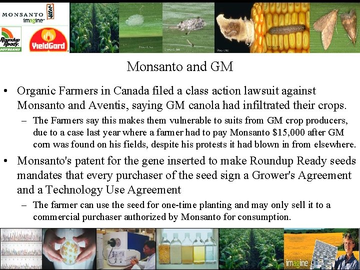 Monsanto and GM • Organic Farmers in Canada filed a class action lawsuit against