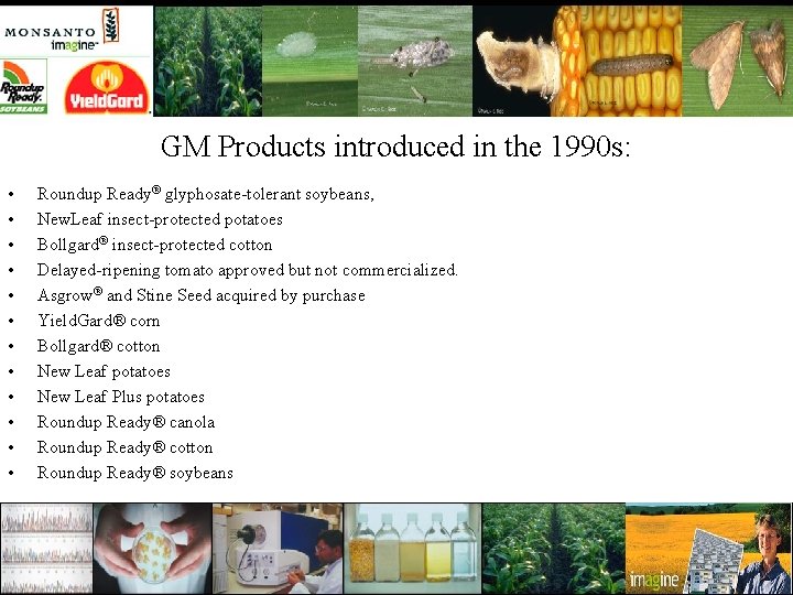 GM Products introduced in the 1990 s: • • • Roundup Ready® glyphosate-tolerant soybeans,