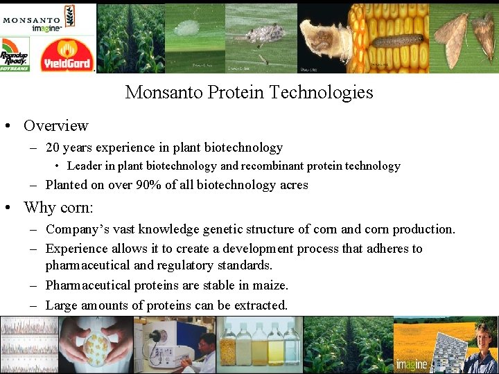 Monsanto Protein Technologies • Overview – 20 years experience in plant biotechnology • Leader