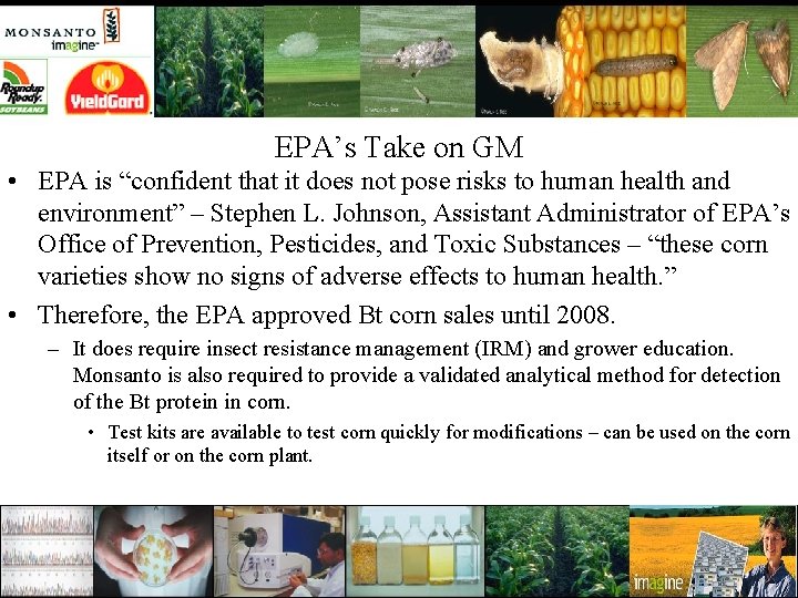 EPA’s Take on GM • EPA is “confident that it does not pose risks