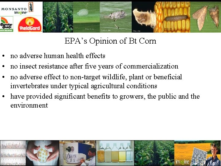 EPA’s Opinion of Bt Corn • no adverse human health effects • no insect