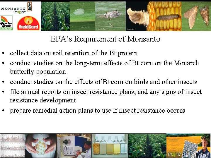 EPA’s Requirement of Monsanto • collect data on soil retention of the Bt protein