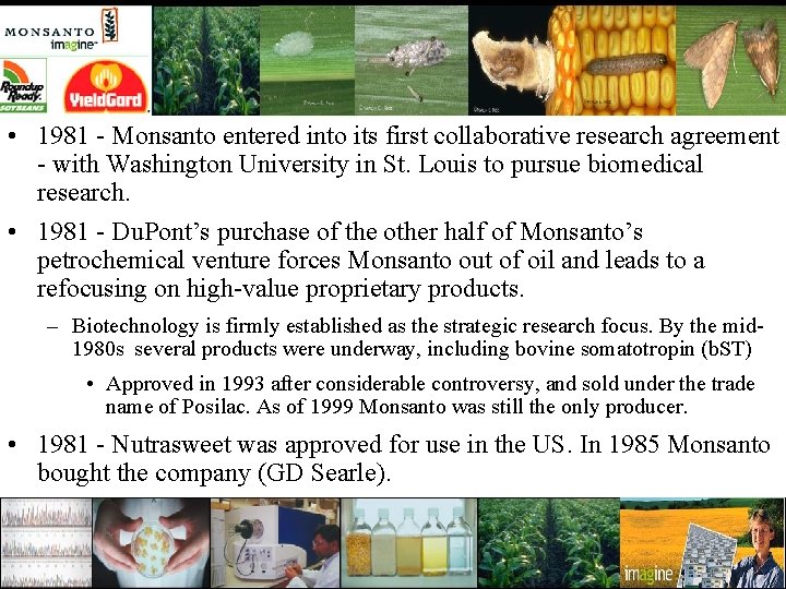  • 1981 - Monsanto entered into its first collaborative research agreement - with