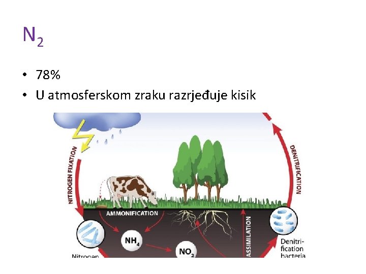 N 2 • 78% • U atmosferskom zraku razrjeđuje kisik 