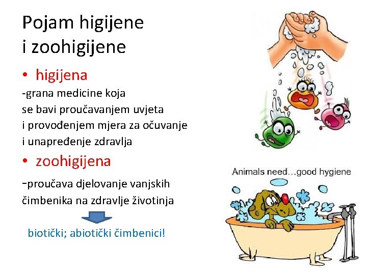 Pojam higijene i zoohigijene • higijena -grana medicine koja se bavi proučavanjem uvjeta i