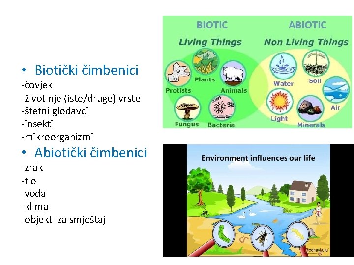  • Biotički čimbenici -čovjek -životinje (iste/druge) vrste -štetni glodavci -insekti -mikroorganizmi • Abiotički