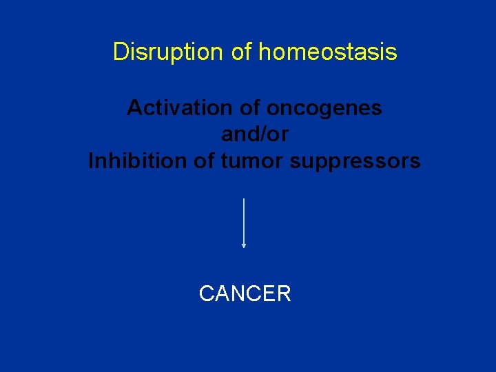 Disruption of homeostasis Activation of oncogenes and/or Inhibition of tumor suppressors CANCER 