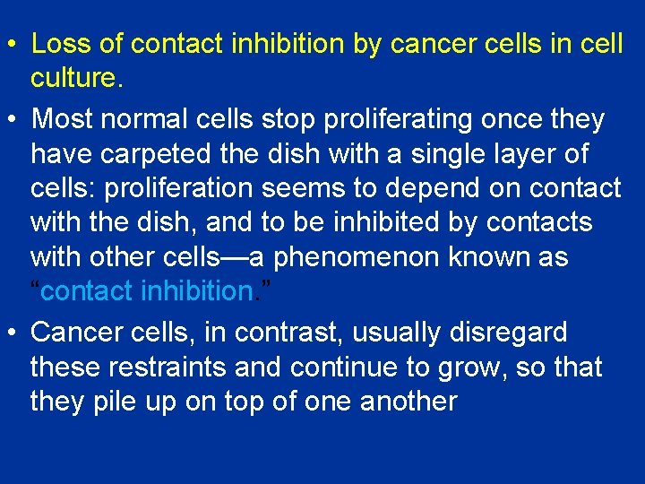  • Loss of contact inhibition by cancer cells in cell culture. • Most