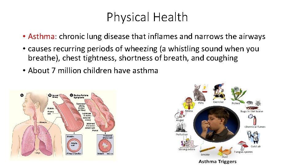 Physical Health • Asthma: chronic lung disease that inflames and narrows the airways •