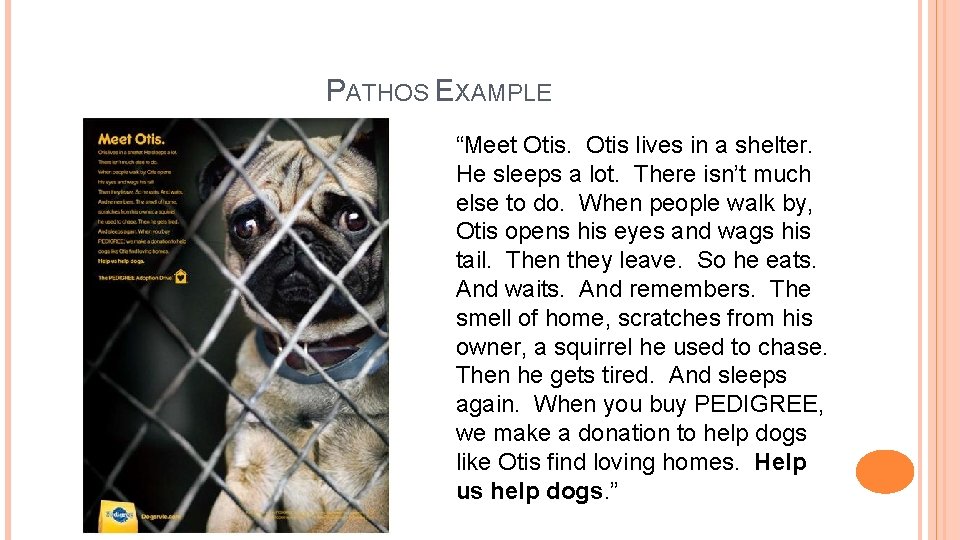 PATHOS EXAMPLE “Meet Otis lives in a shelter. He sleeps a lot. There isn’t