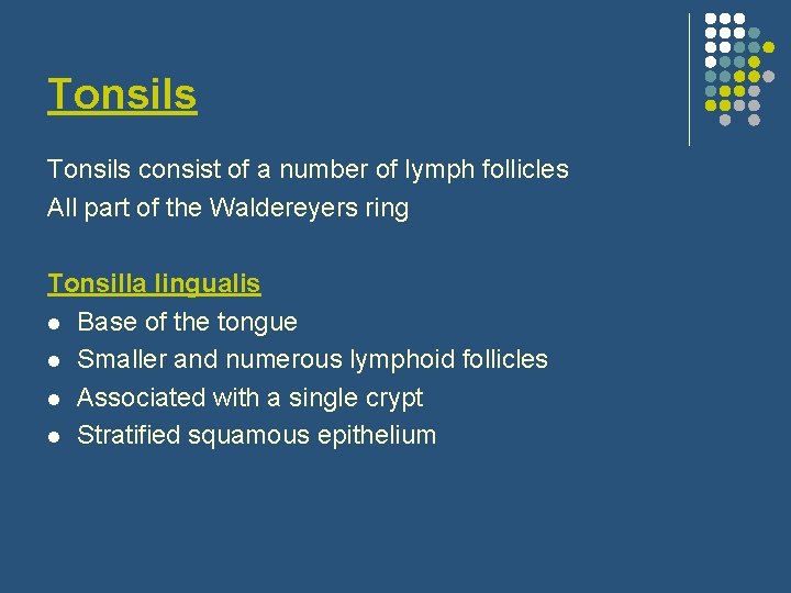 Tonsils consist of a number of lymph follicles All part of the Waldereyers ring