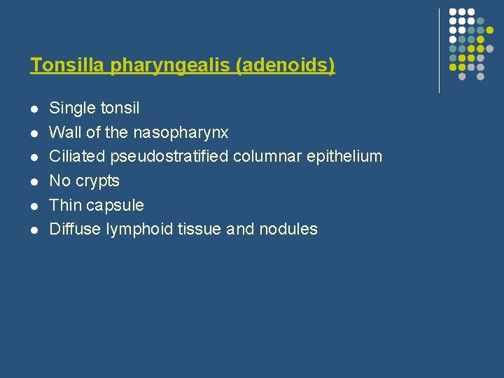 Tonsilla pharyngealis (adenoids) l l l Single tonsil Wall of the nasopharynx Ciliated pseudostratified