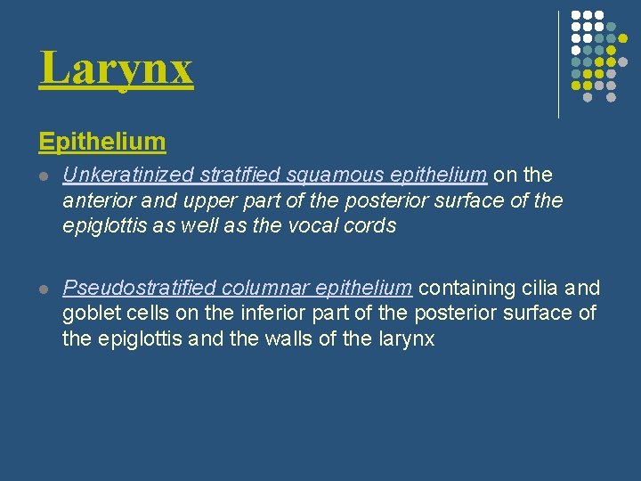 Larynx Epithelium l Unkeratinized stratified squamous epithelium on the anterior and upper part of