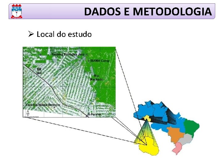 DADOS E METODOLOGIA Ø Local do estudo 