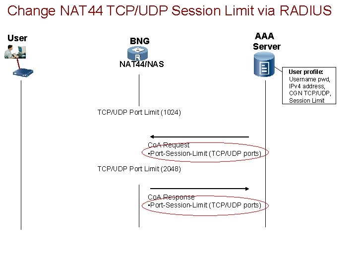 Change NAT 44 TCP/UDP Session Limit via RADIUS User BNG AAA Server NAT 44/NAS