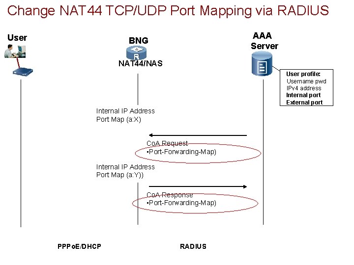 Change NAT 44 TCP/UDP Port Mapping via RADIUS User AAA Server BNG NAT 44/NAS