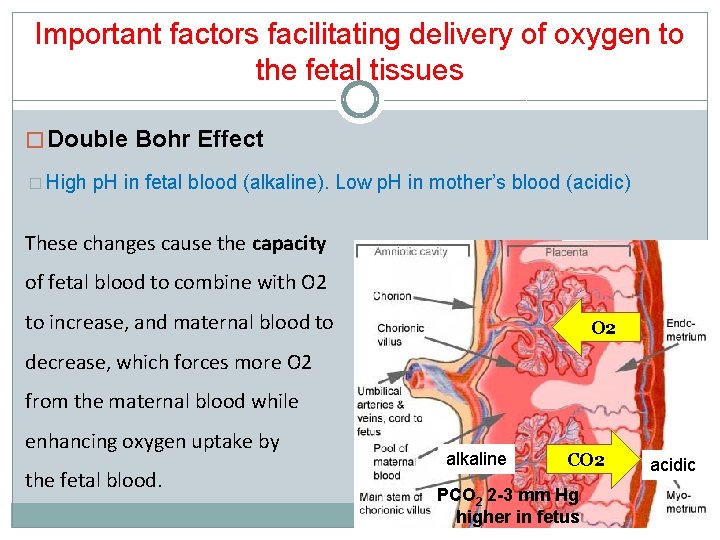 Important factors facilitating delivery of oxygen to the fetal tissues � Double Bohr Effect