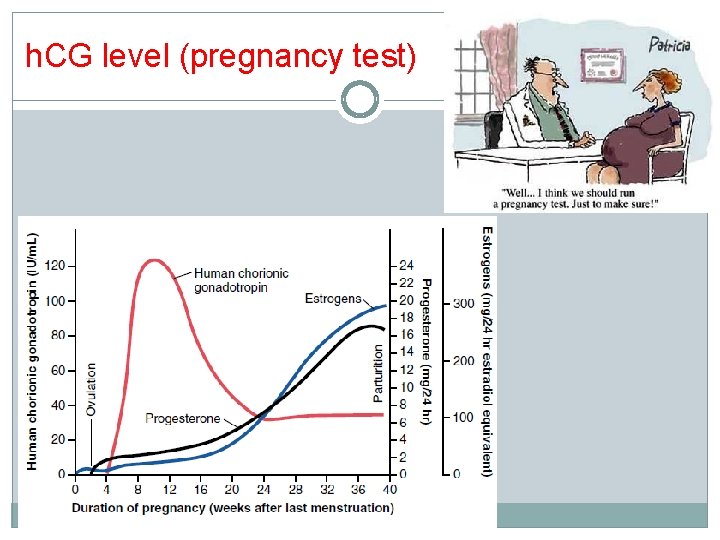h. CG level (pregnancy test) 