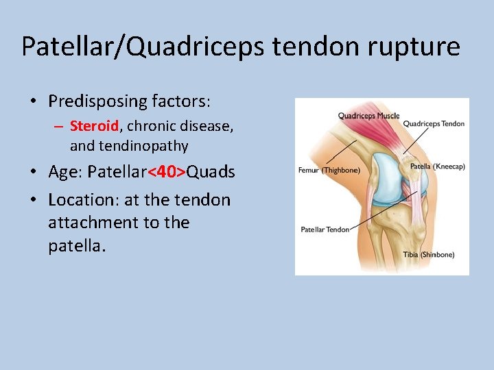 Patellar/Quadriceps tendon rupture • Predisposing factors: – Steroid, chronic disease, and tendinopathy • Age: