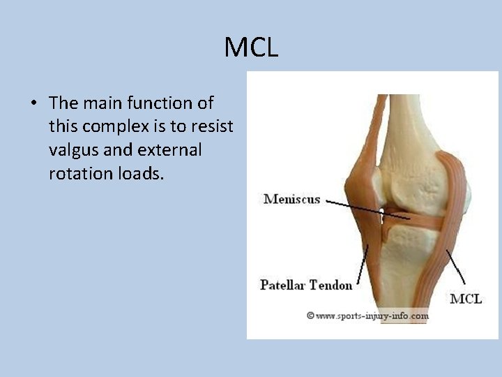MCL • The main function of this complex is to resist valgus and external