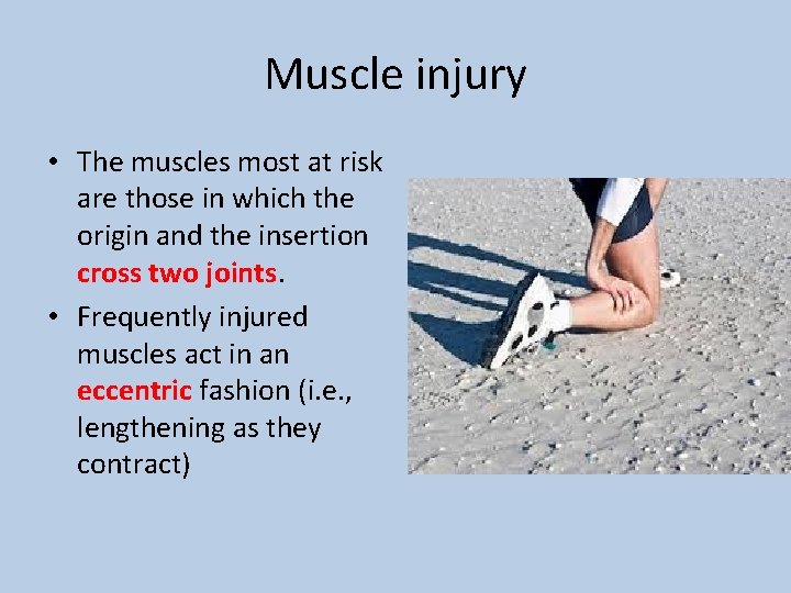 Muscle injury • The muscles most at risk are those in which the origin