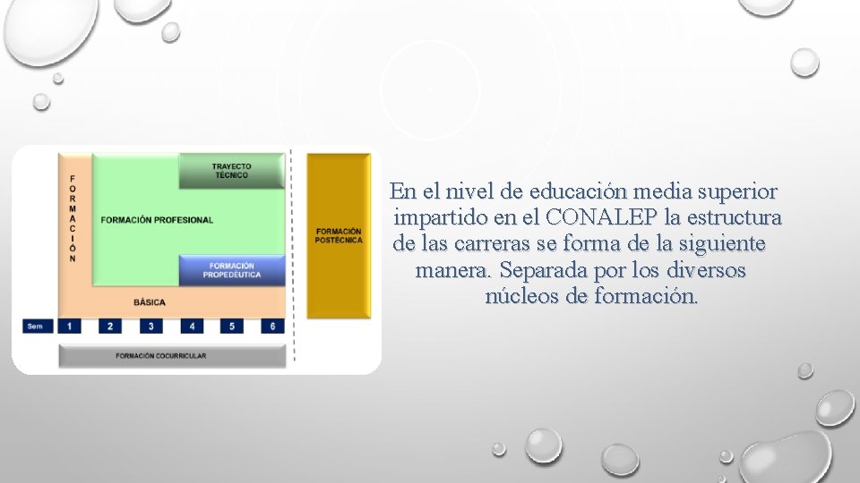 En el nivel de educación media superior impartido en el CONALEP la estructura de