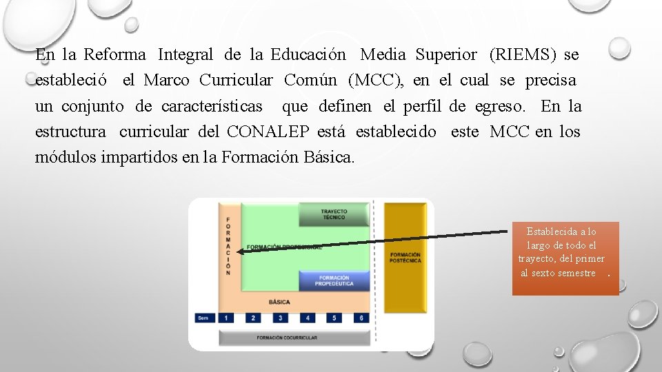 En la Reforma Integral de la Educación Media Superior (RIEMS) se estableció el Marco