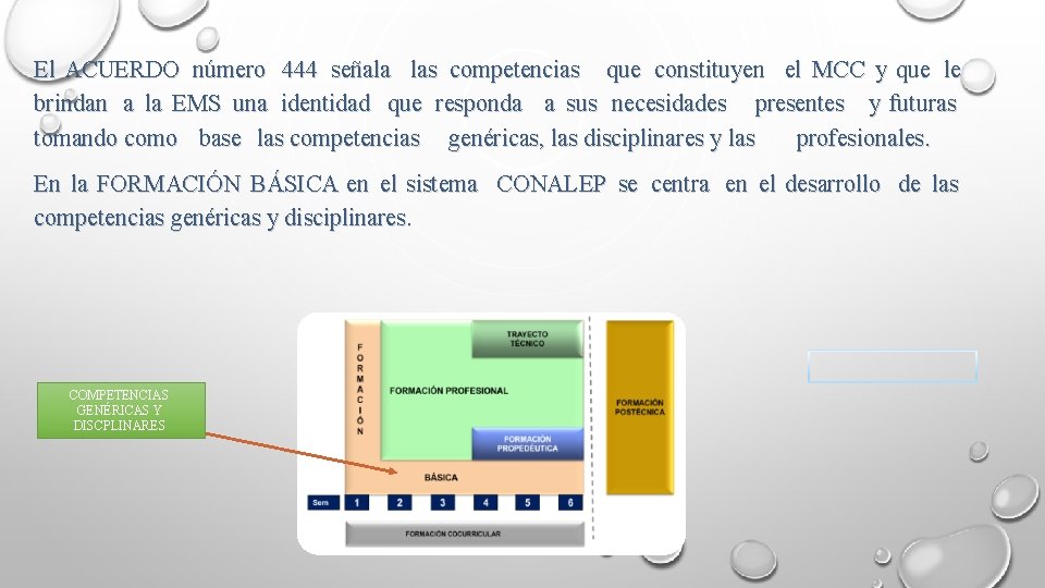El ACUERDO número 444 señala las competencias que constituyen el MCC y que le