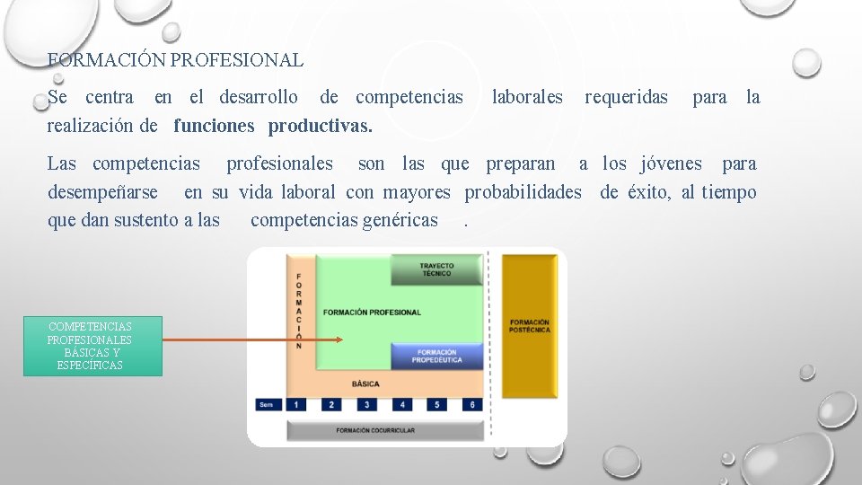 FORMACIÓN PROFESIONAL Se centra en el desarrollo de competencias realización de funciones productivas. laborales