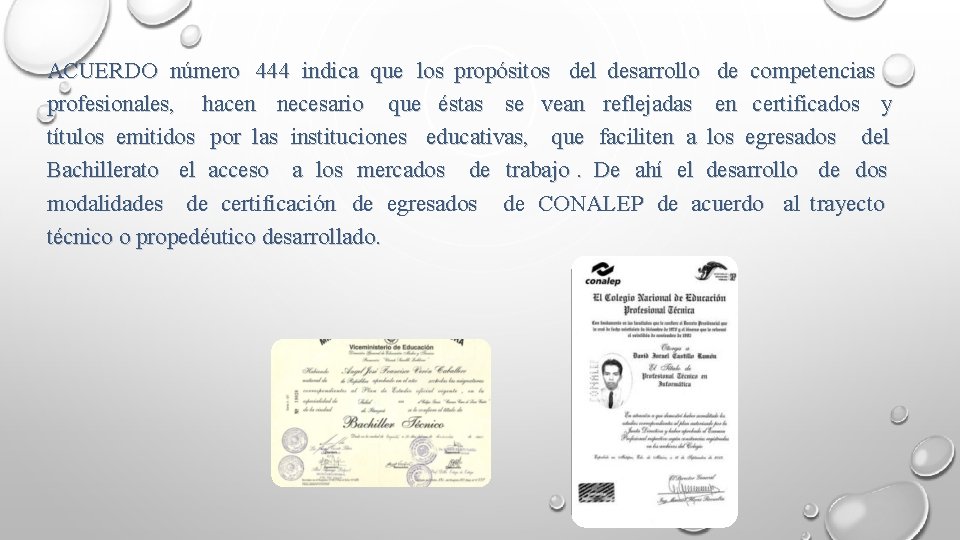 ACUERDO número 444 indica que los propósitos del desarrollo de competencias profesionales, hacen necesario