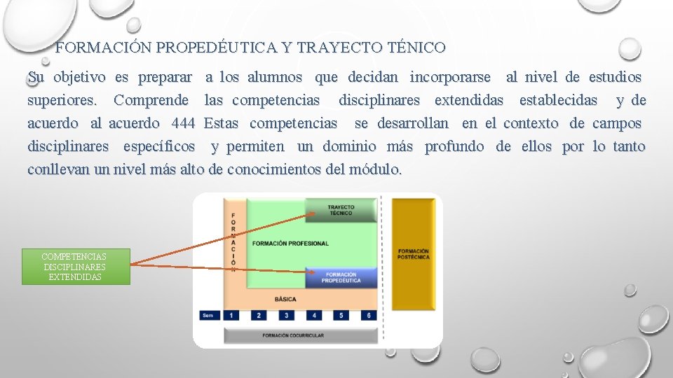 FORMACIÓN PROPEDÉUTICA Y TRAYECTO TÉNICO Su objetivo es preparar a los alumnos que decidan
