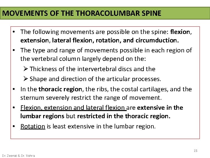 MOVEMENTS OF THE THORACOLUMBAR SPINE • The following movements are possible on the spine: