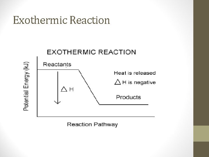 Exothermic Reaction 