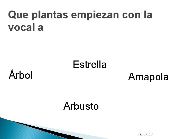 Que plantas empiezan con la vocal a Árbol Estrella Amapola Arbusto 22/12/2021 