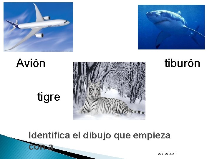 Avión tiburón tigre Identifica el dibujo que empieza con a 22/12/2021 