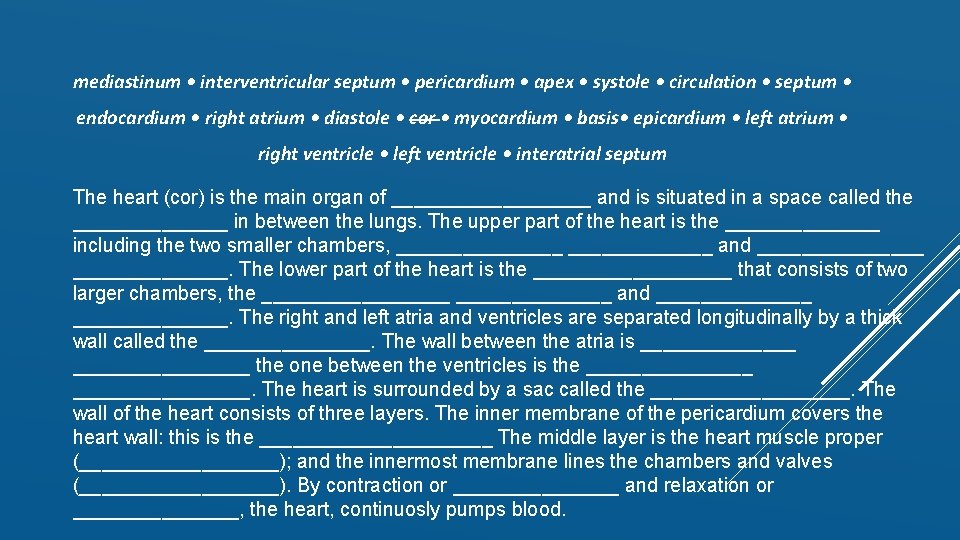 mediastinum • interventricular septum • pericardium • apex • systole • circulation • septum