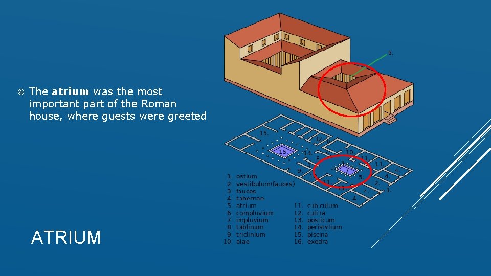  The atrium was the most important part of the Roman house, where guests