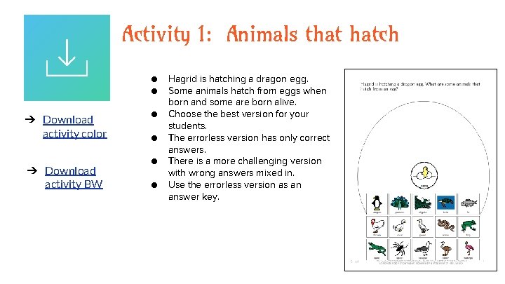 Activity 1: Animals that hatch ● ● ➔ Download activity color ➔ Download activity