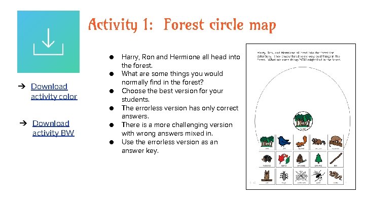 Activity 1: Forest circle map ● ● ➔ Download activity color ● ● ➔