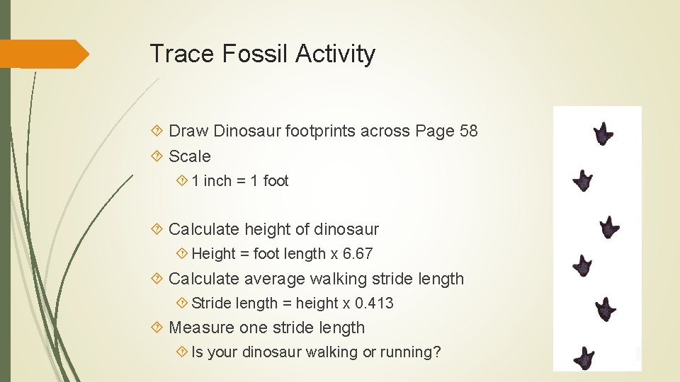 Trace Fossil Activity Draw Dinosaur footprints across Page 58 Scale 1 inch = 1