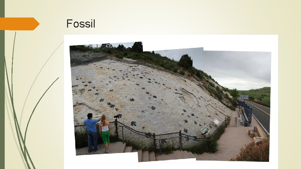 Fossil The preserved remains or evidence of ancient living things 